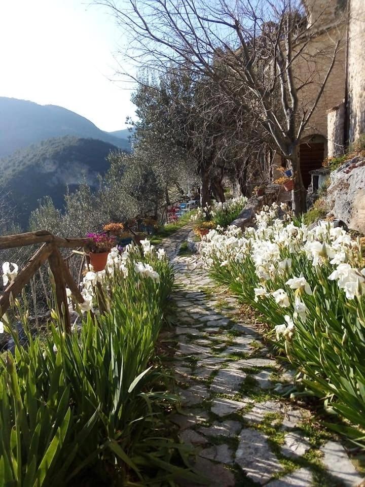 Guesthouse Runcini Ferentillo Exterior foto